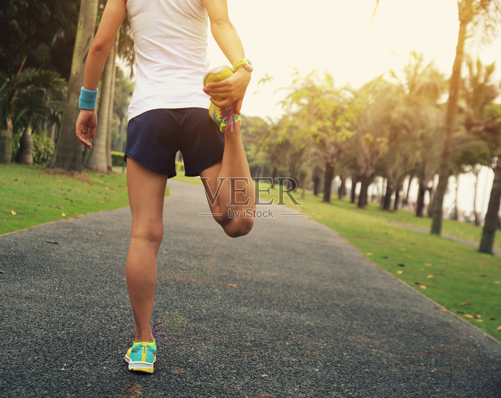 年轻女子跑步者在热带公园慢跑前热身照片摄影图片