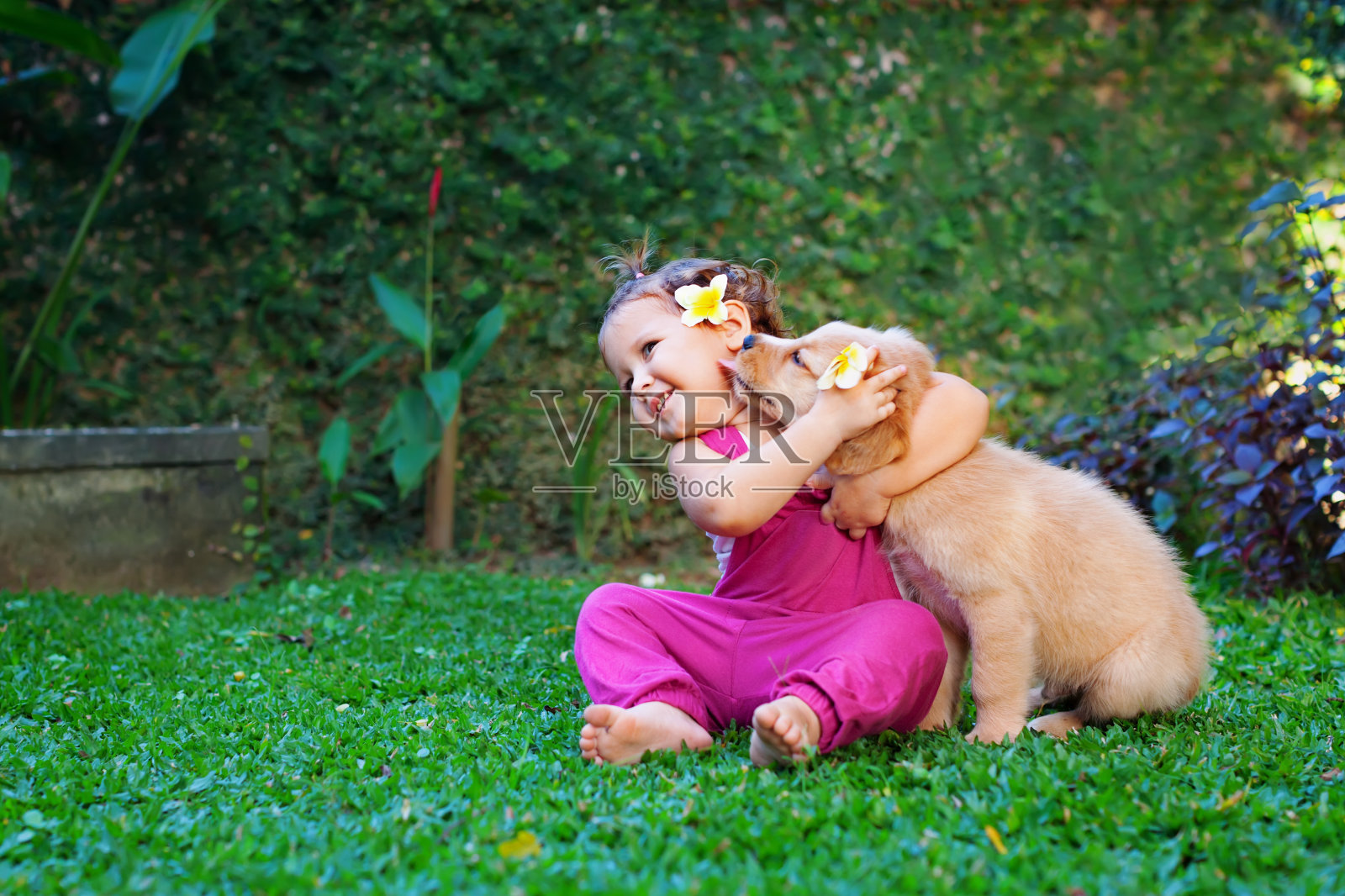 快乐的孩子和家庭宠物——拉布拉多小狗玩耍照片摄影图片