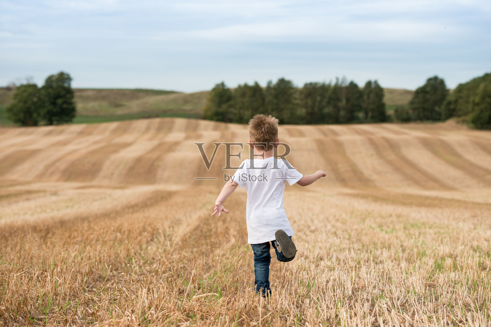 男孩跑过收割的庄稼照片摄影图片