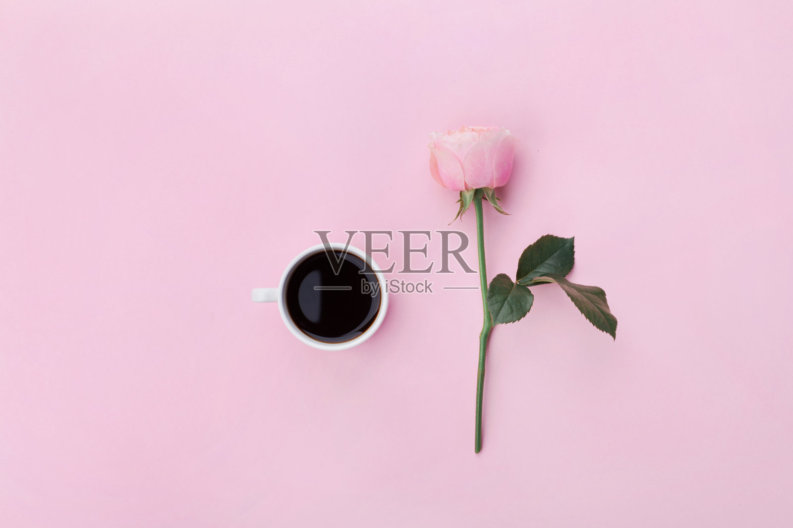 粉彩背景上点缀着粉红色的玫瑰花和咖啡。平的。照片摄影图片