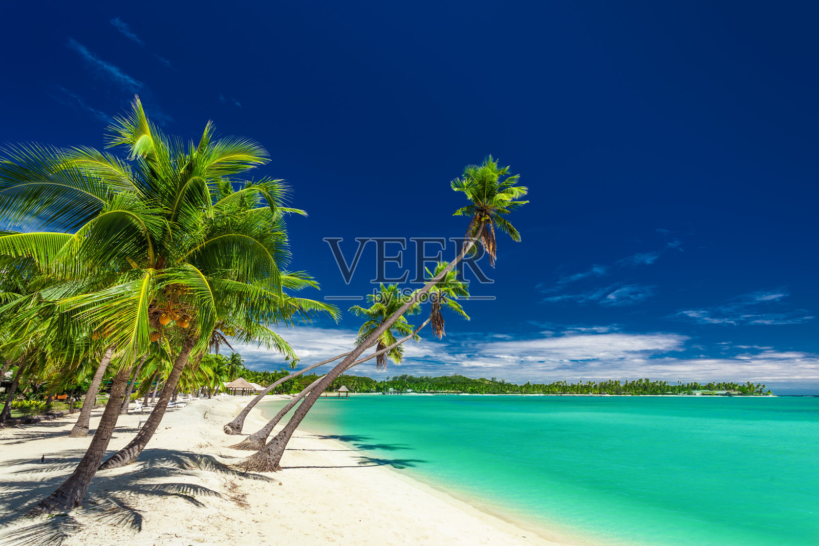 斐济群岛上的泻湖上有棕榈树的海滩照片摄影图片