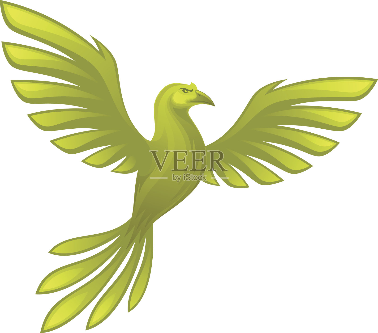 绿色的鸟插画图片素材