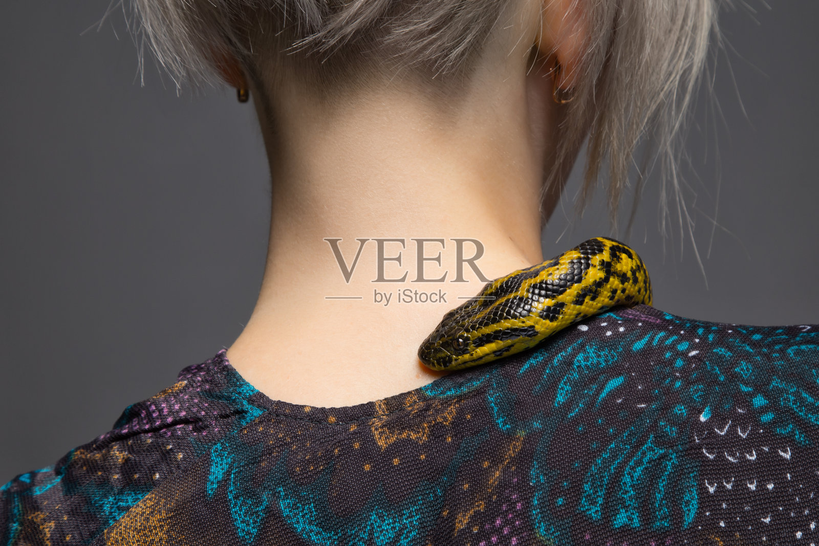 蟒蛇爬在女人的肩膀上照片摄影图片