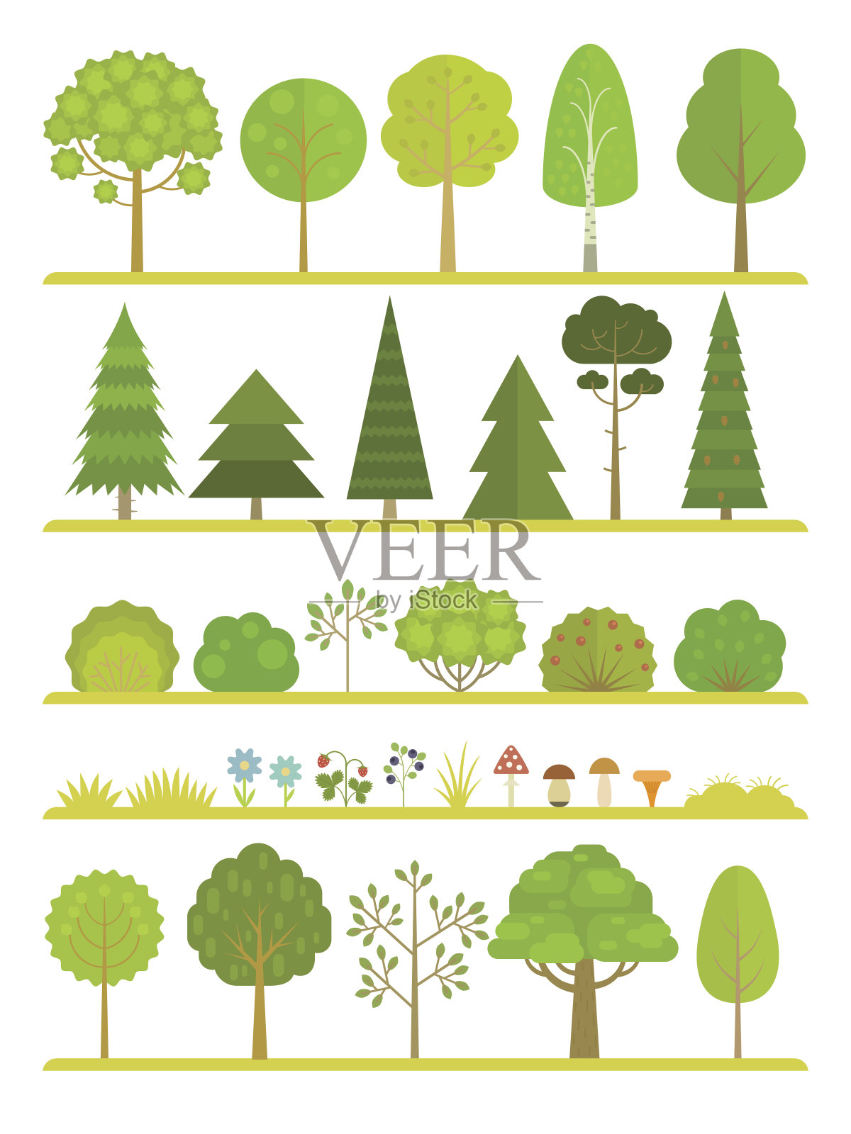 森林植物收集插画图片素材