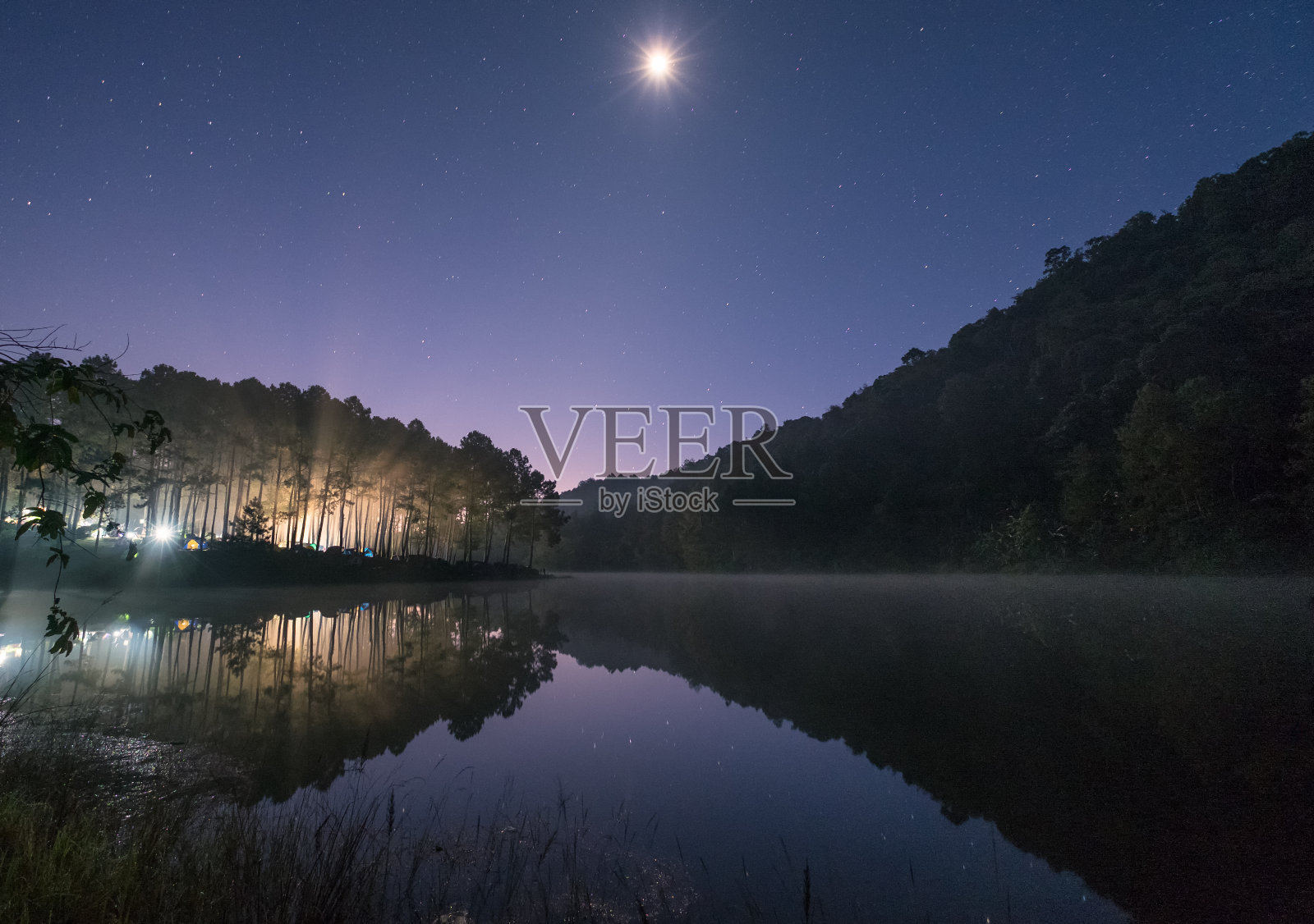 松树林里的光和月亮一起照在水库上照片摄影图片