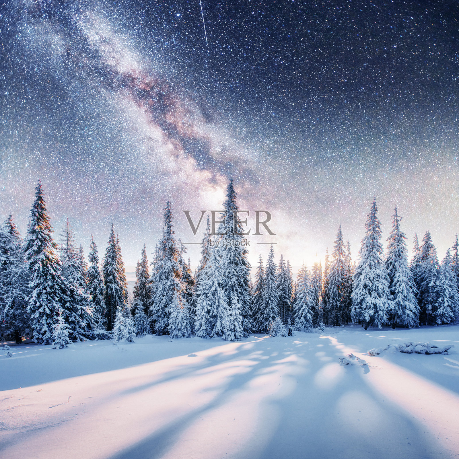 《星际迷航》里冬天的树林。戏剧性和风景如画的sc照片摄影图片
