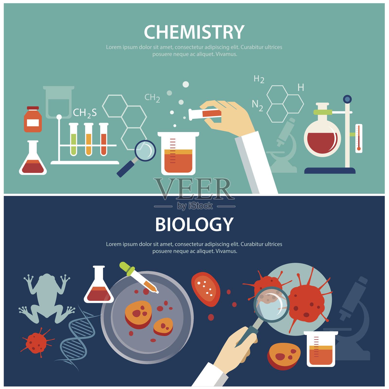 化学与生物教育理念插画图片素材