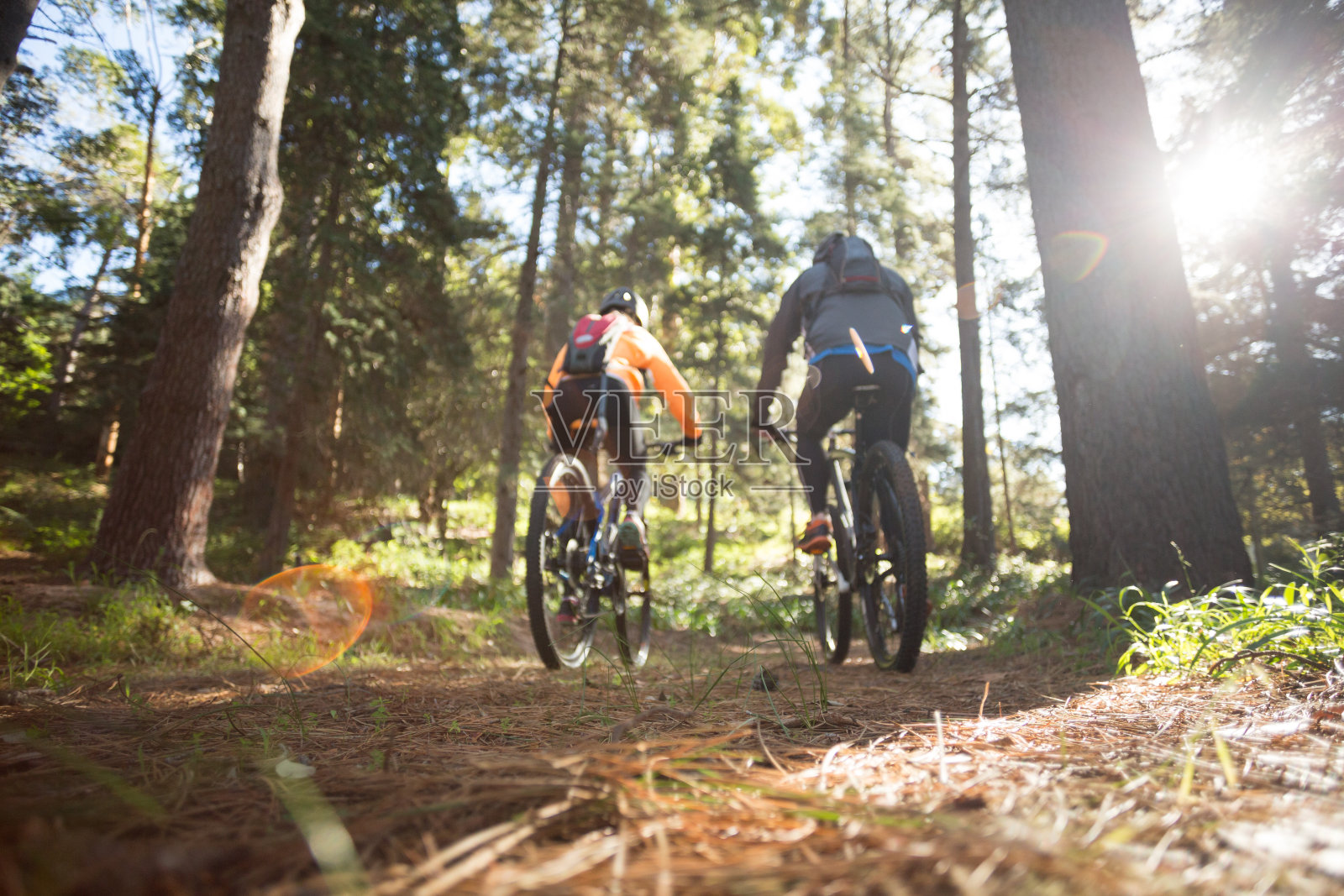 自行车夫妇在森林里骑山地车照片摄影图片