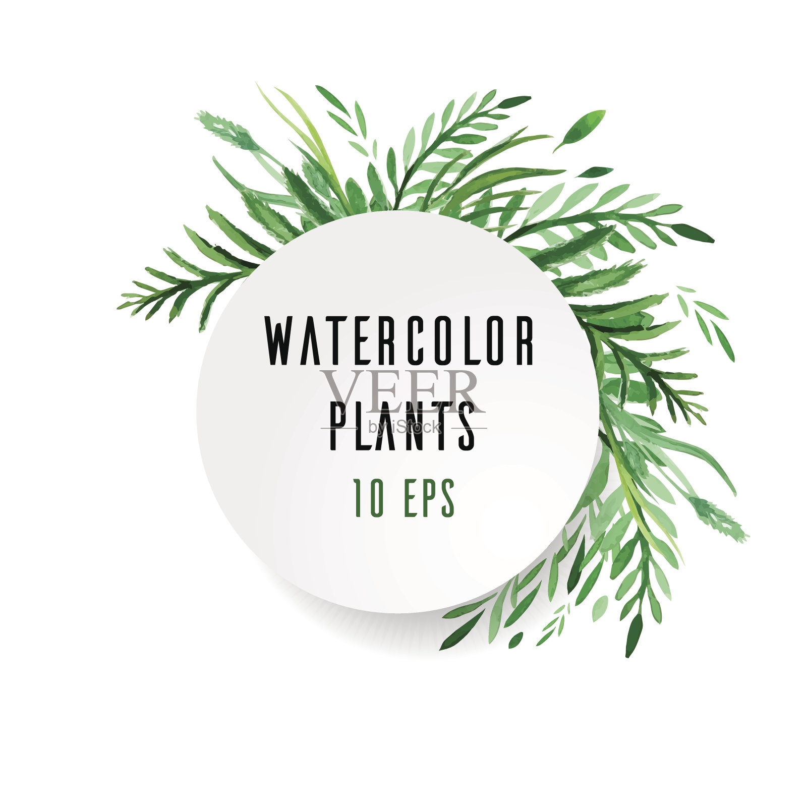 用水彩植物覆盖插画图片素材