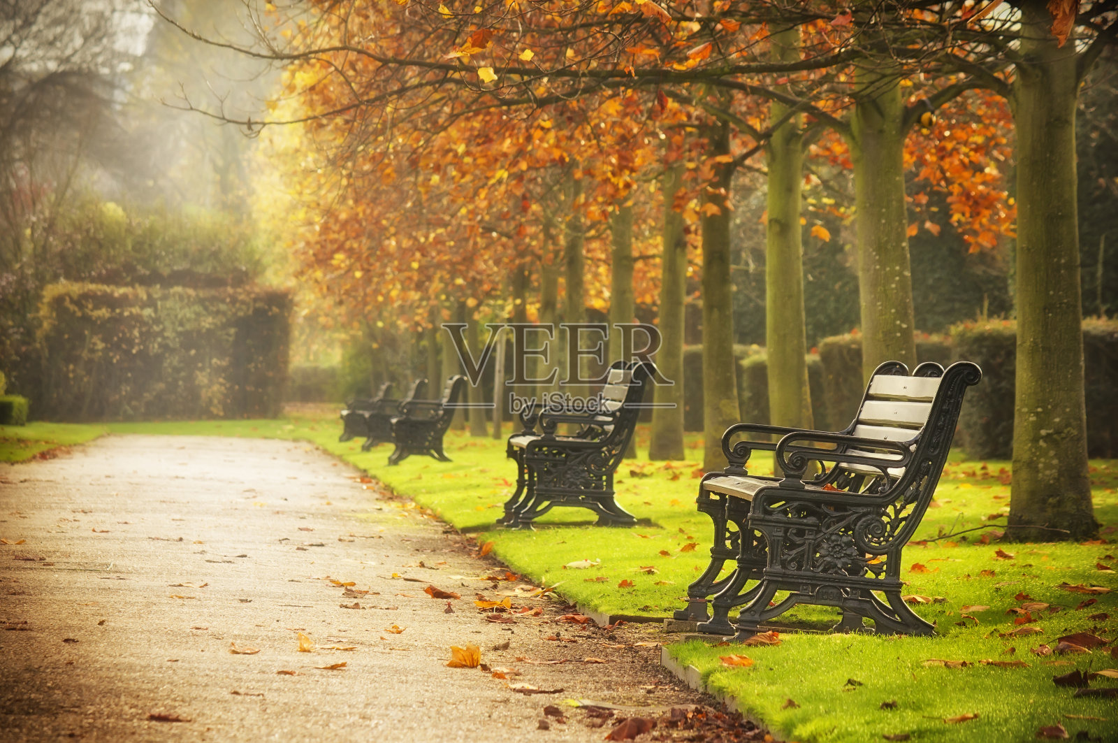 秋天公园里的长椅照片摄影图片