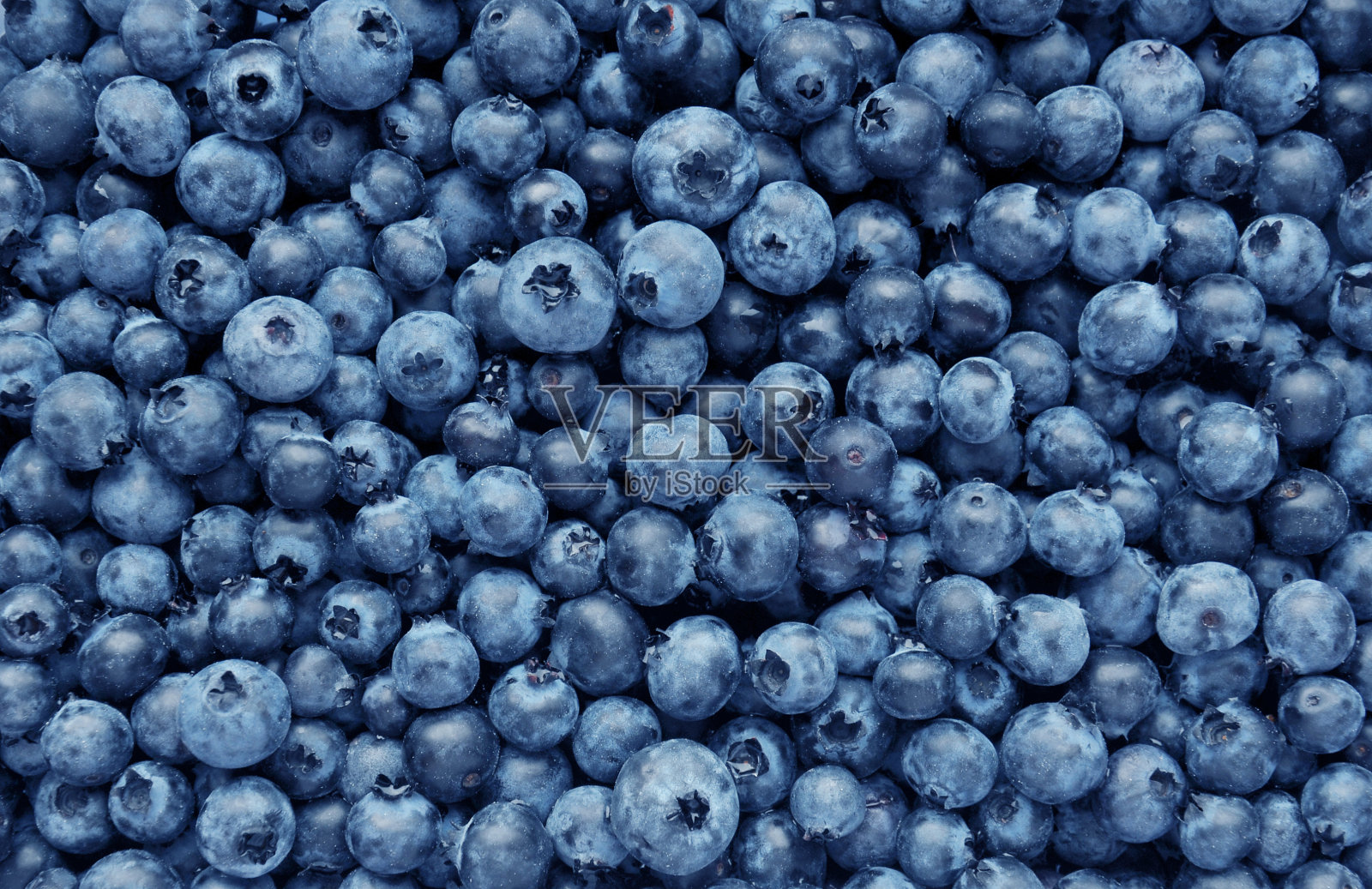 背景来自新鲜采摘的蓝莓照片摄影图片