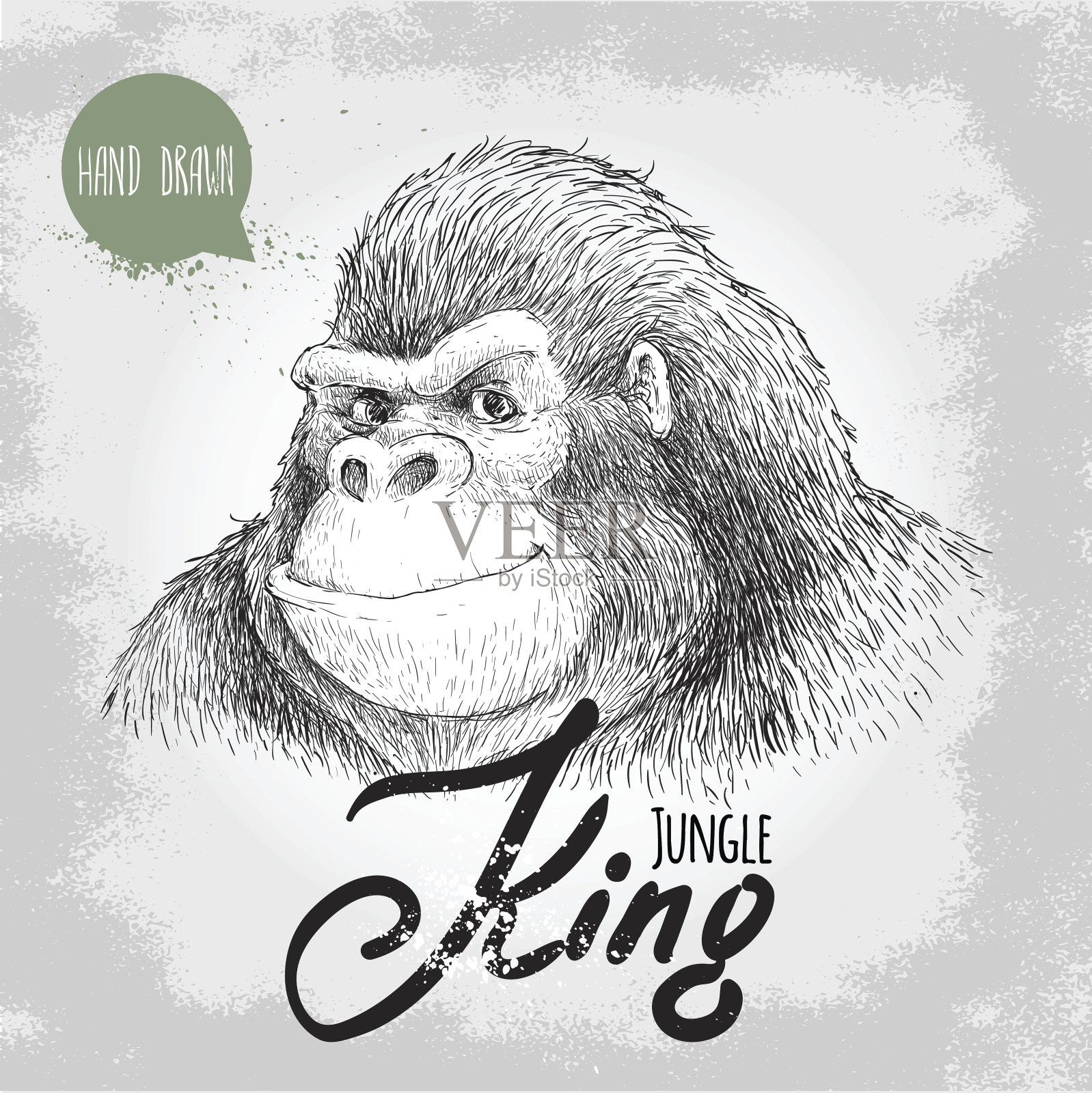 手绘素描风格大猩猩。丛林之王。插画图片素材