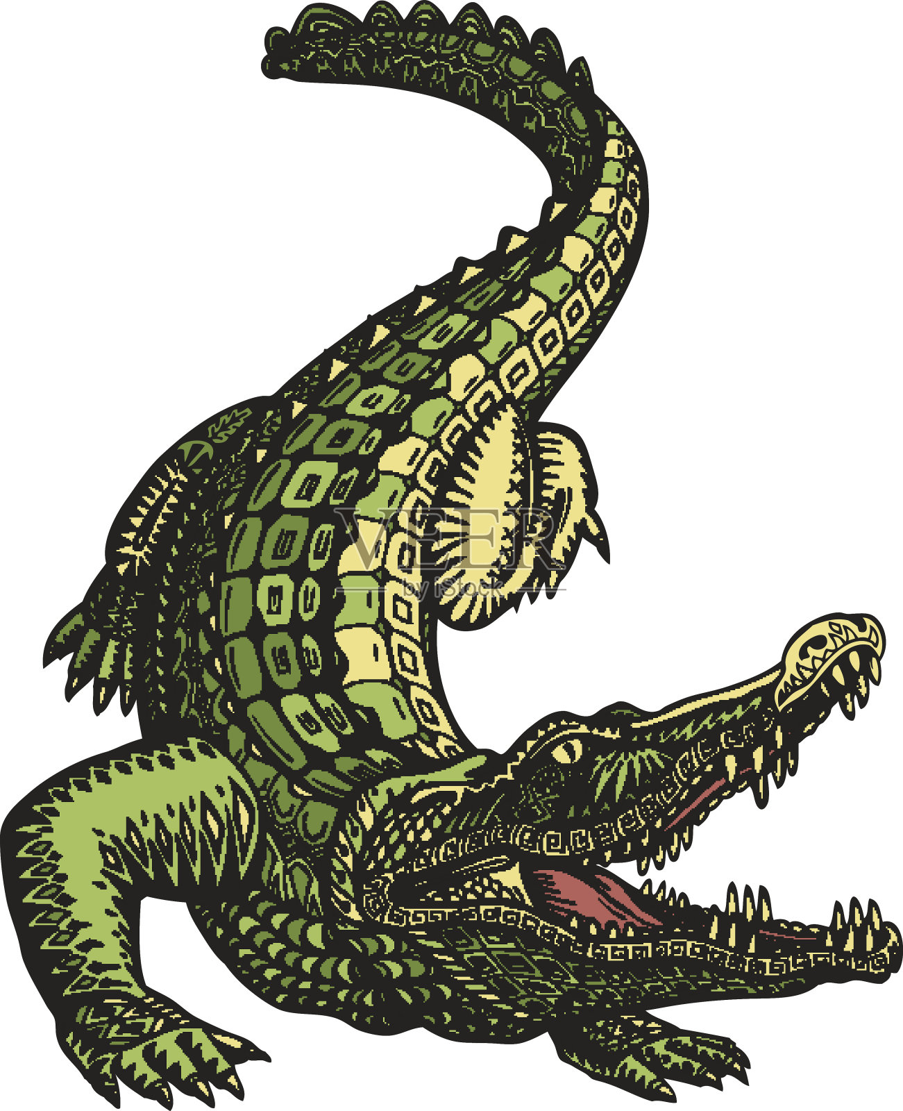 民族装饰的短吻鳄或鳄鱼。手绘矢量插图插画图片素材