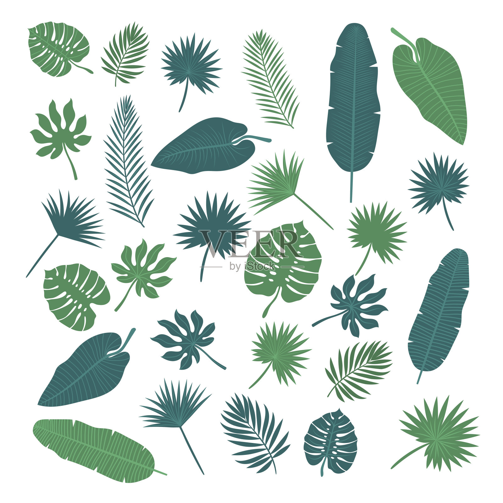 收集热带树叶。自然元素为您的设计设计元素图片