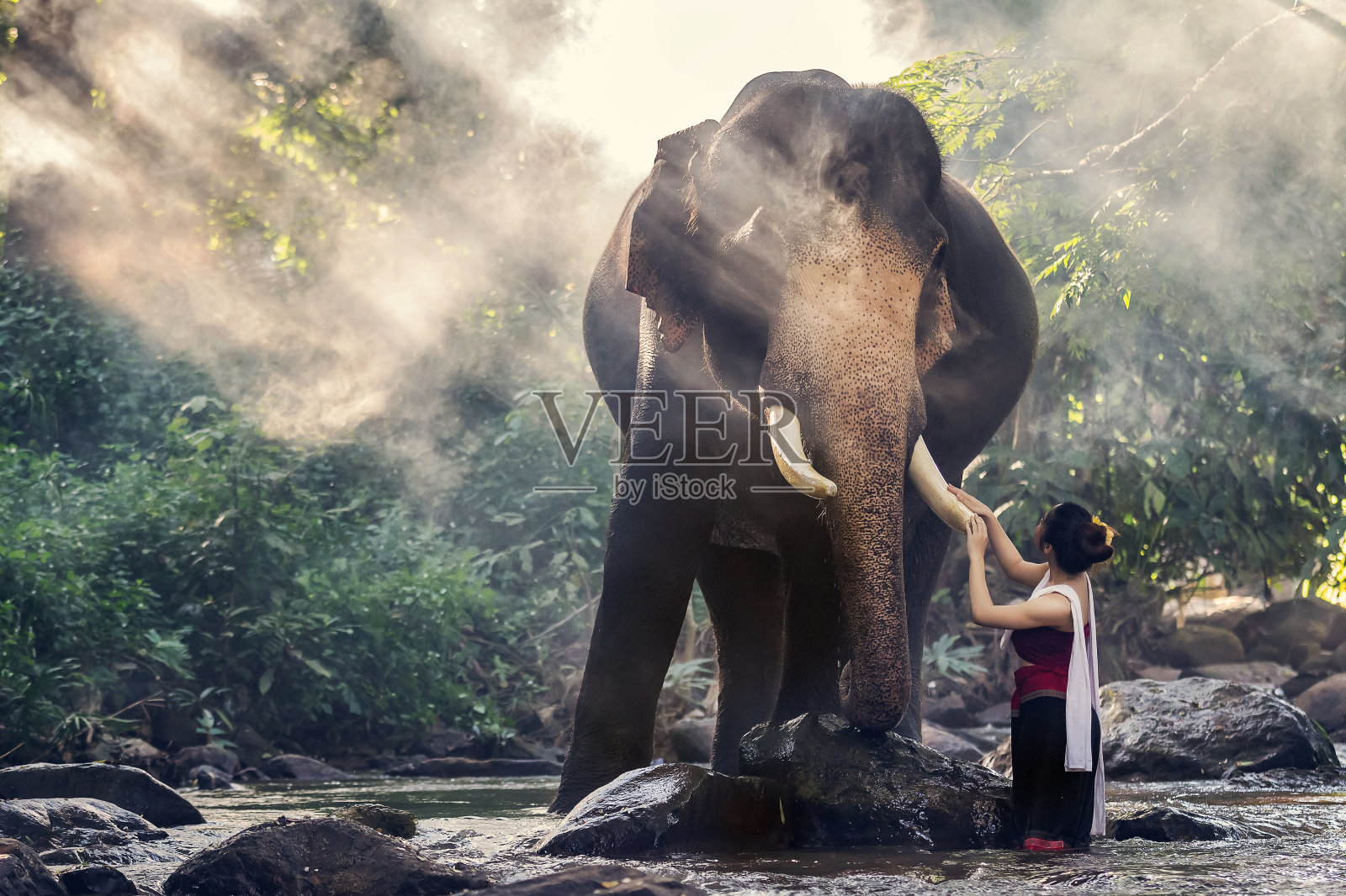 身着泰国传统服饰的漂亮女孩抚摸着大象的鼻子照片摄影图片