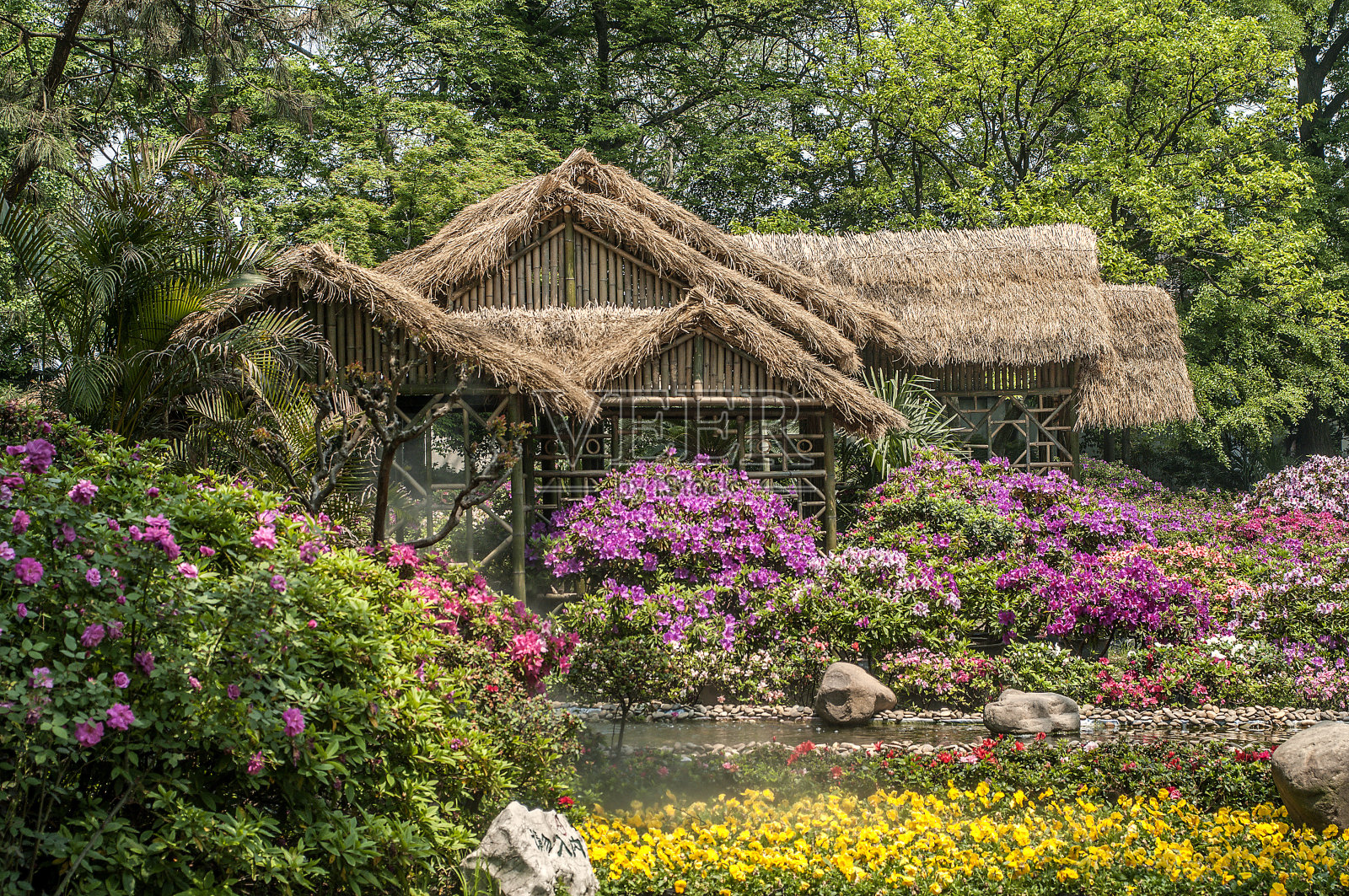 人造的中国园林——花、石、水的诗。照片摄影图片