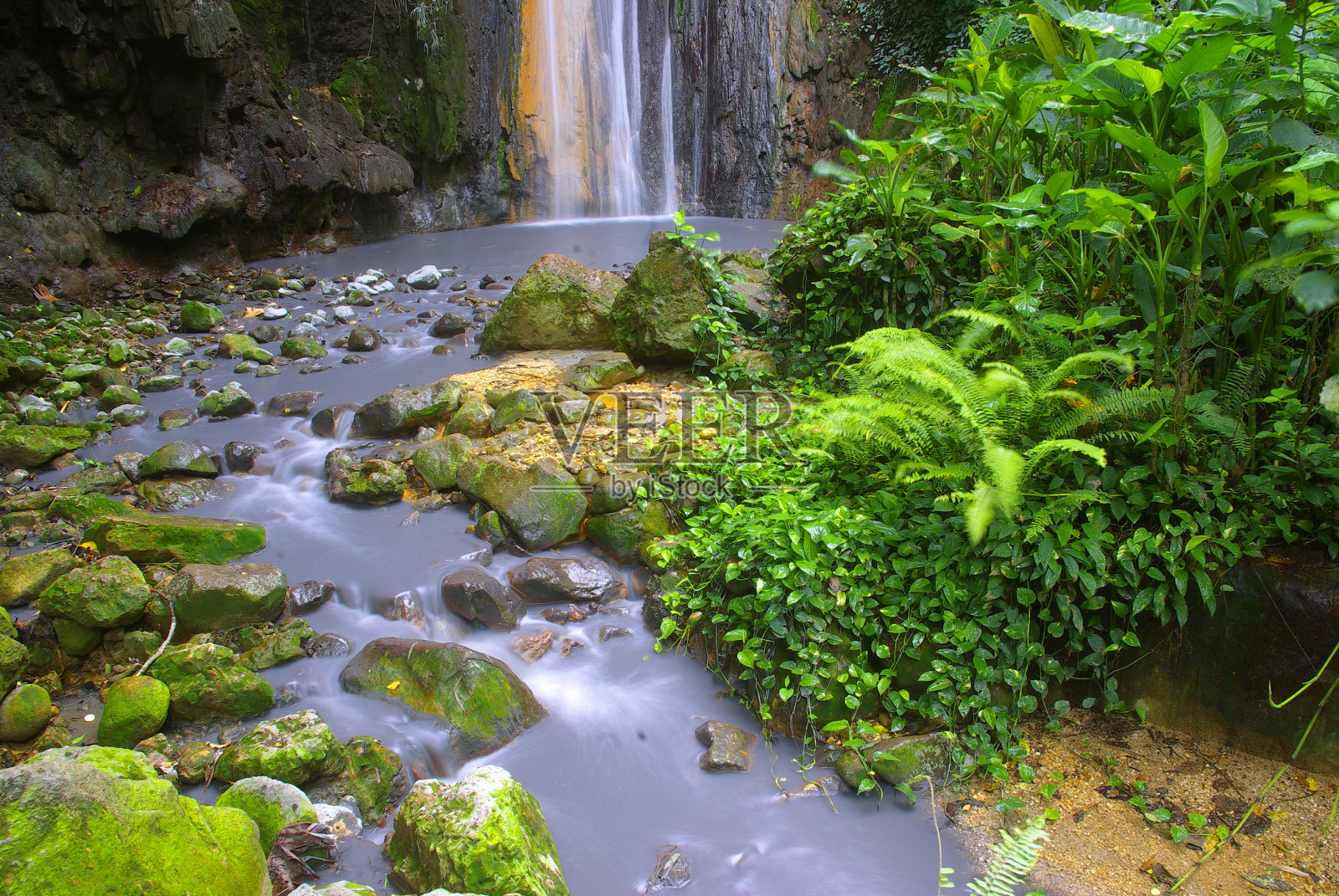 风景秀丽郁郁葱葱的热带雨林瀑布环境照片摄影图片