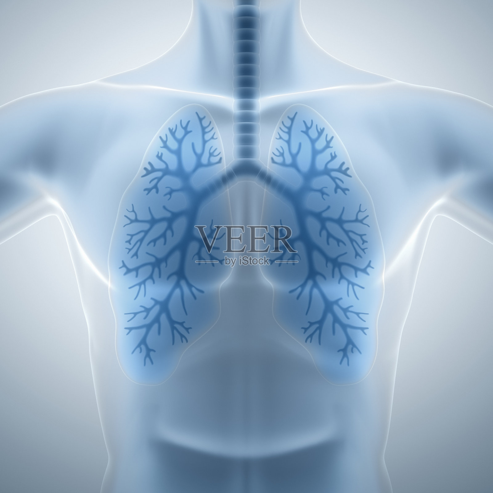 清洁健康的肺照片摄影图片