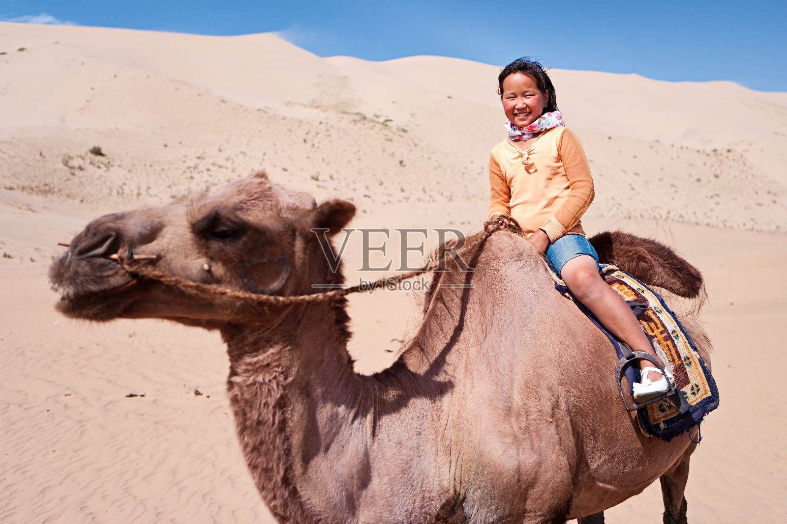 年轻的女孩骑在骆驼上照片摄影图片