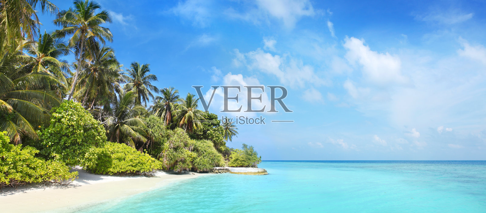 马尔代夫班多斯岛的椰子树和阳光沙滩照片摄影图片