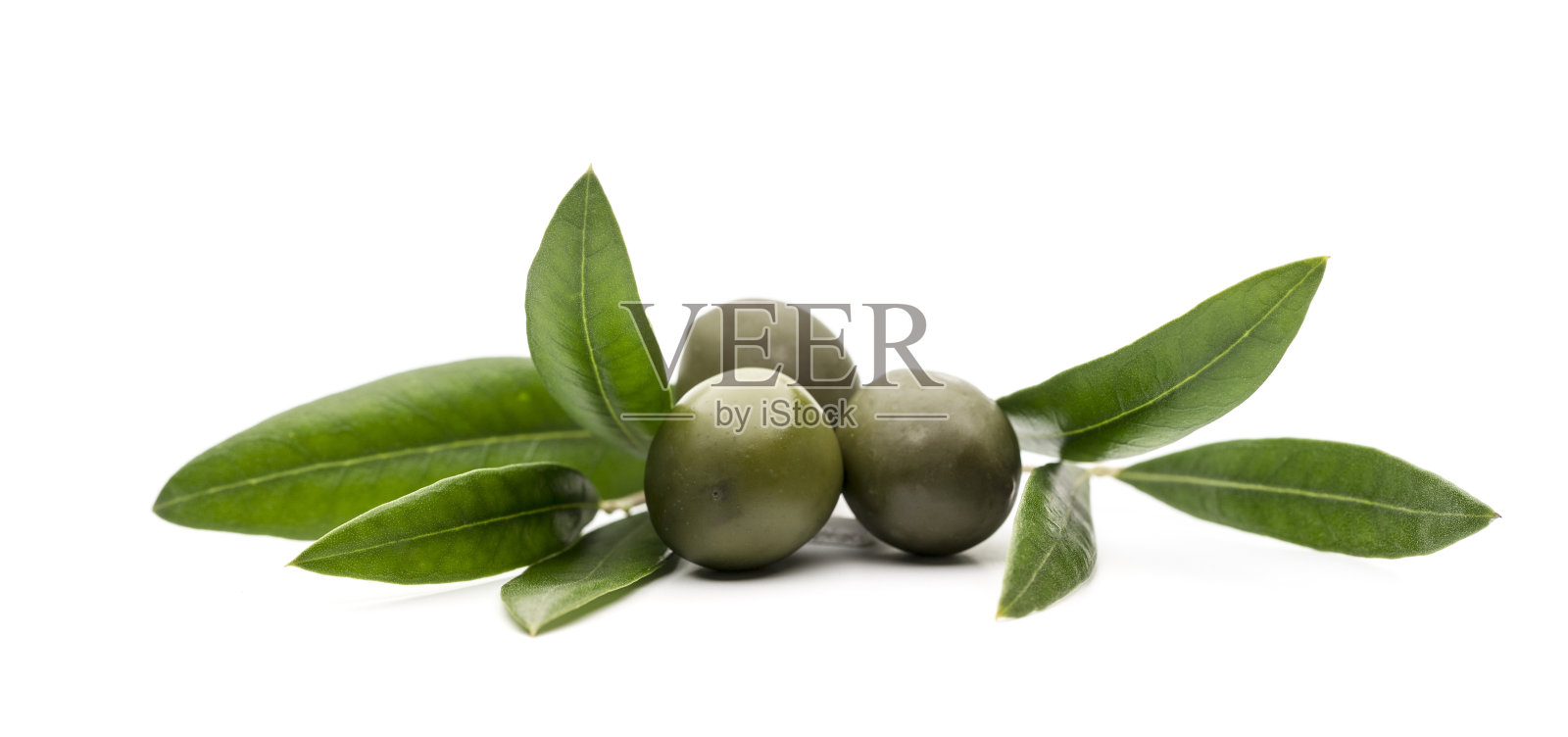橄榄油，白色背景的橄榄叶子照片摄影图片