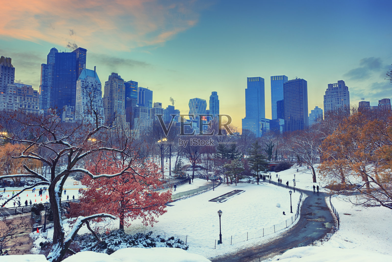 纽约中央公园的冬天照片摄影图片