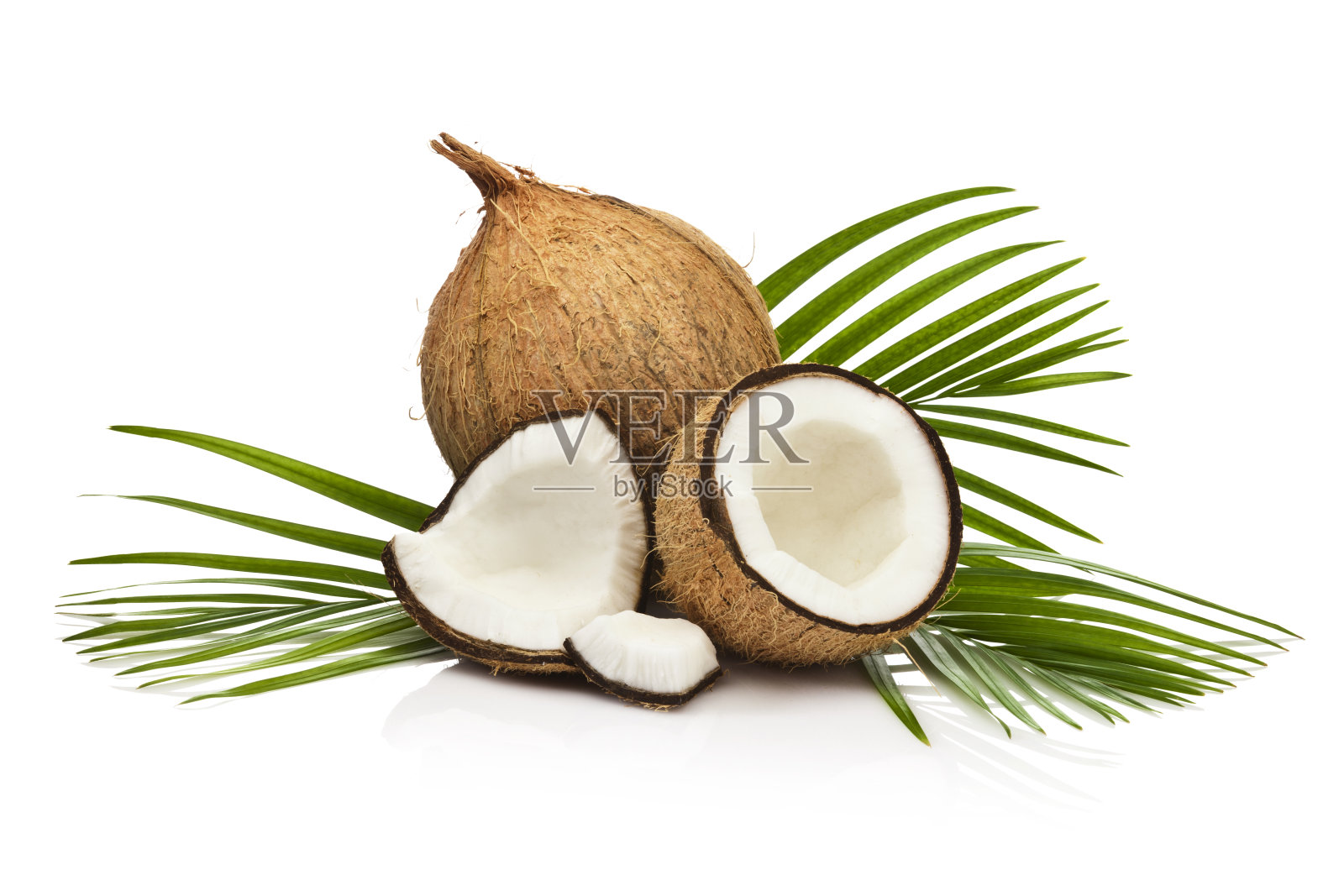 在白色背景上孤立的椰子果照片摄影图片