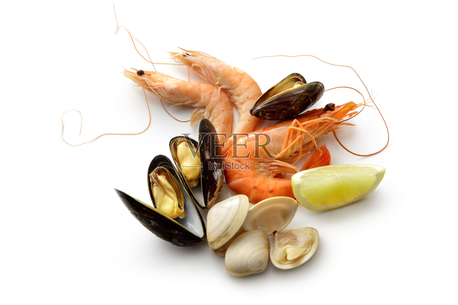 海鲜:虾，对虾，贻贝和蛤蜊孤立在白色的背景照片摄影图片