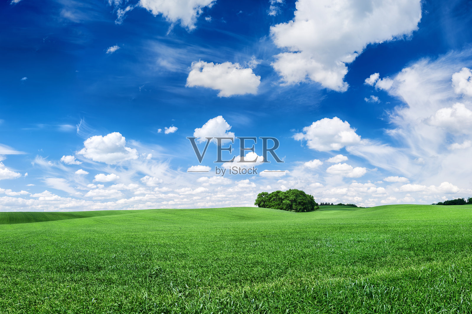 全景的春天景观，XXXXL 88MPix-绿色的田野，蓝天照片摄影图片