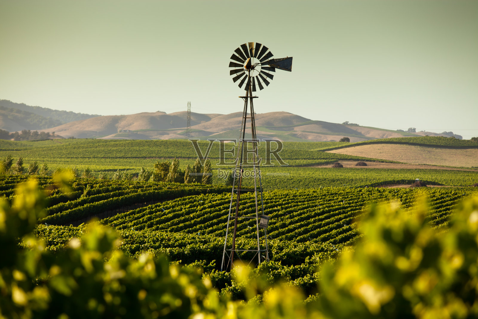 加州葡萄酒的国家照片摄影图片