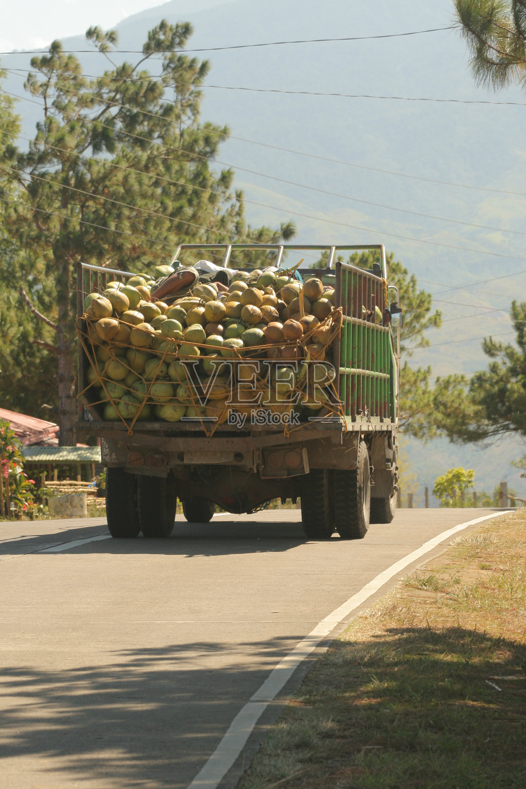 椰子货物照片摄影图片