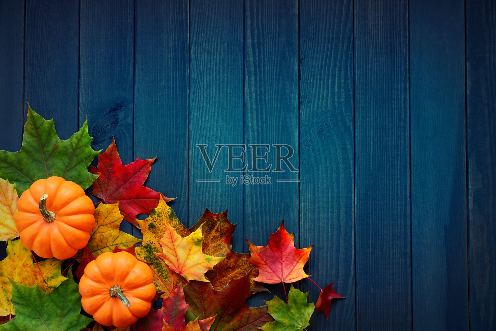 秋天的背景与枫叶和南瓜在绿松石蓝色的树林照片摄影图片