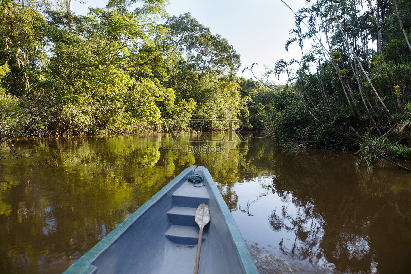 在亚马逊丛林的一艘船上。照片摄影图片