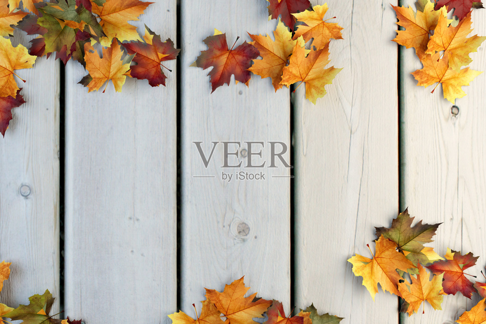 秋天的叶子在白色木制的背景照片摄影图片