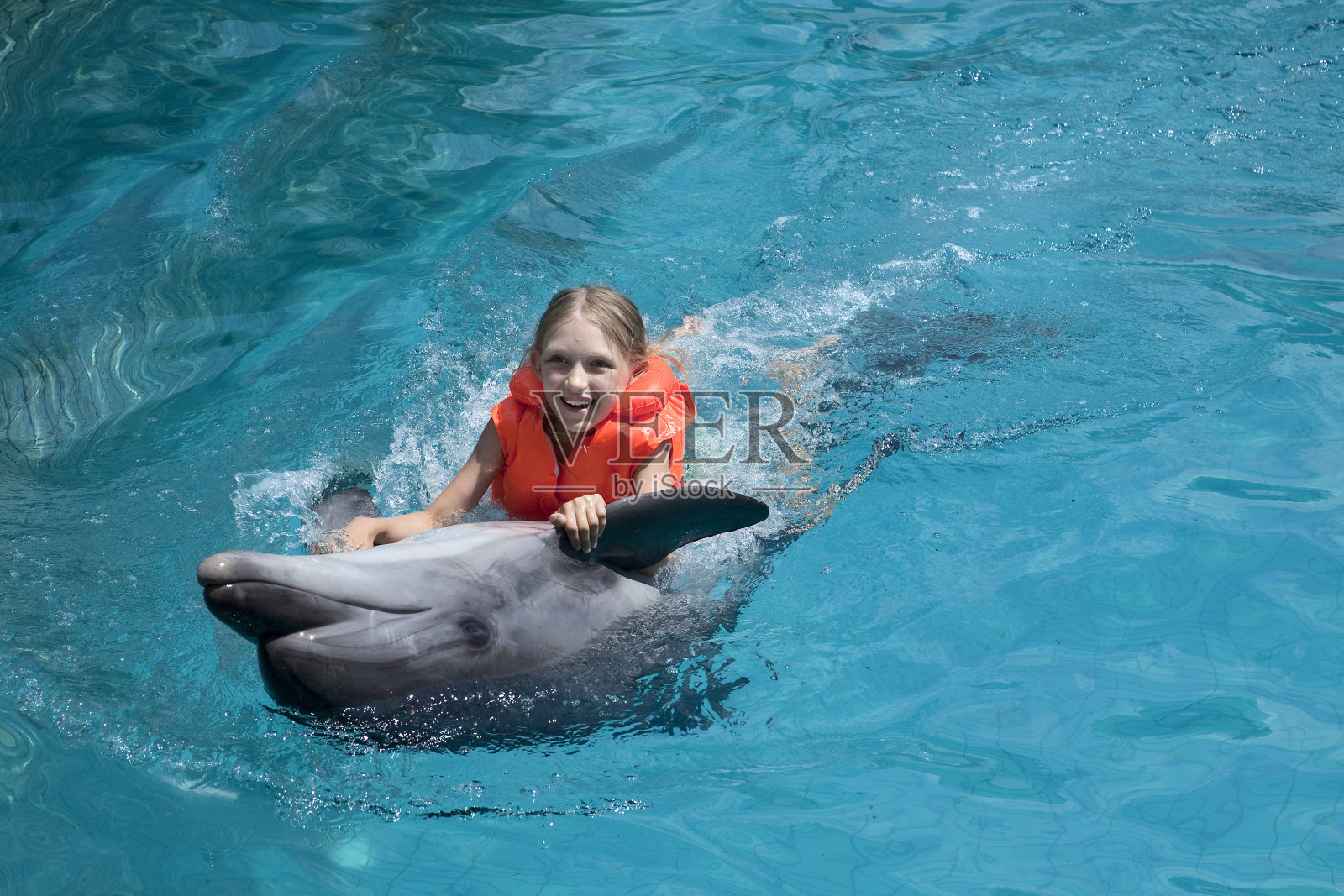 穿着救生衣的女孩和海豚在清澈的水中照片摄影图片