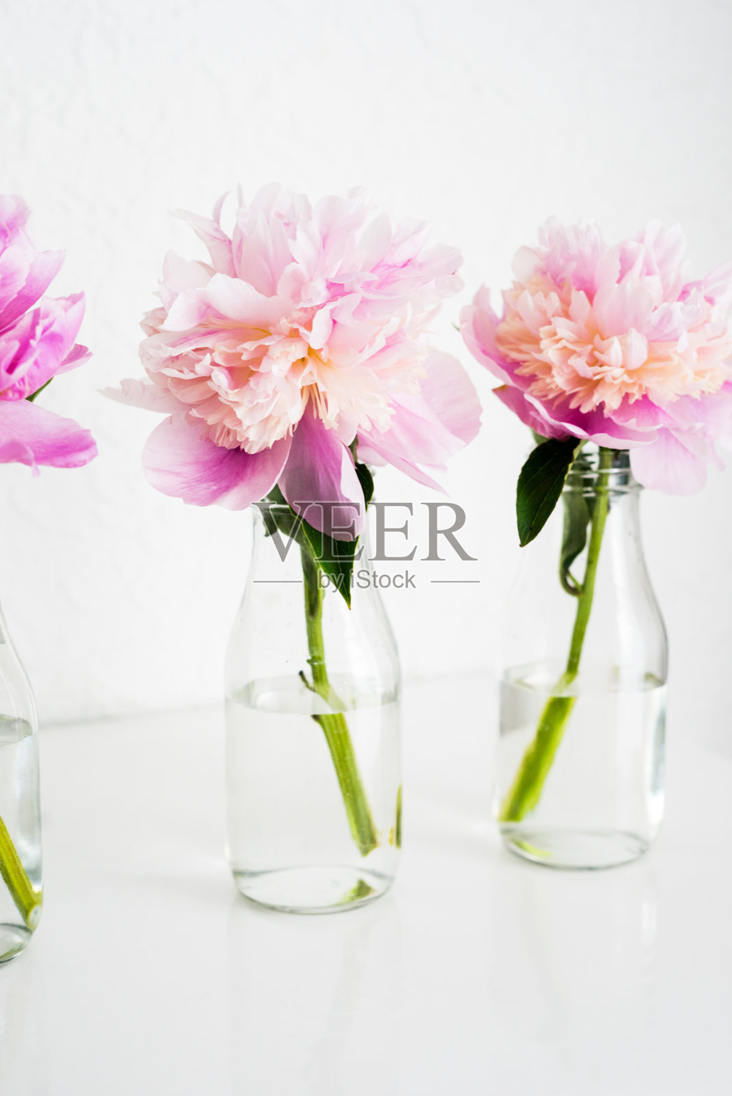 粉红牡丹插在玻璃瓶花瓶里照片摄影图片