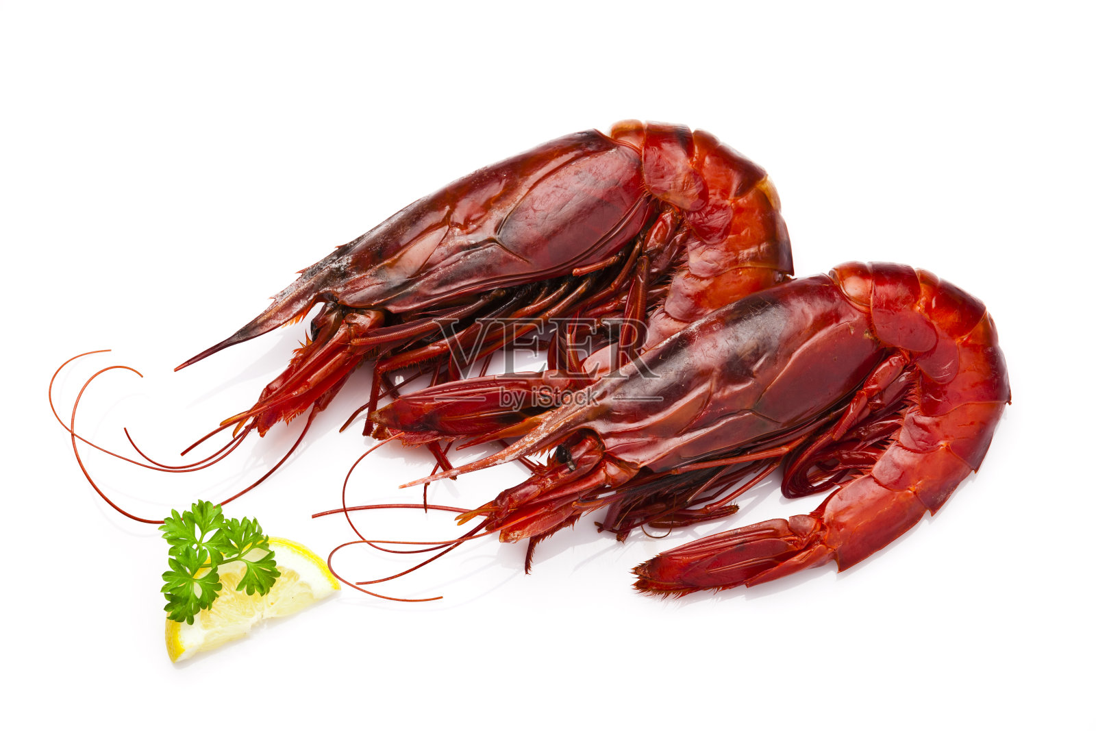 两只巨大的红虾孤立地躺在白色的背景上照片摄影图片