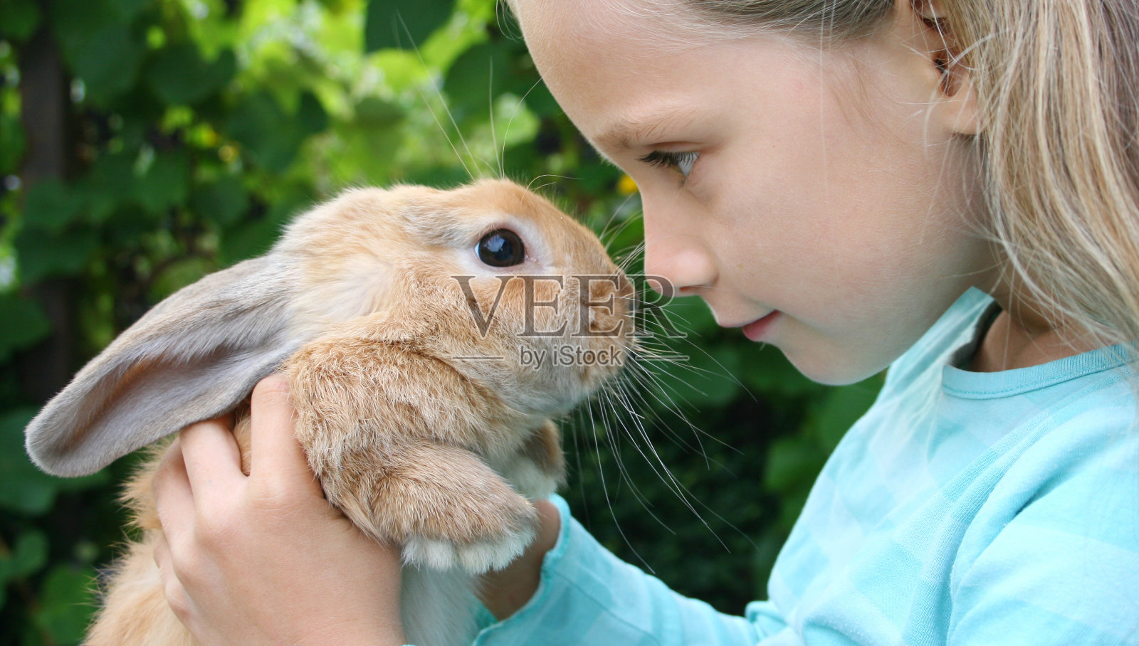 女孩和她的兔子照片摄影图片