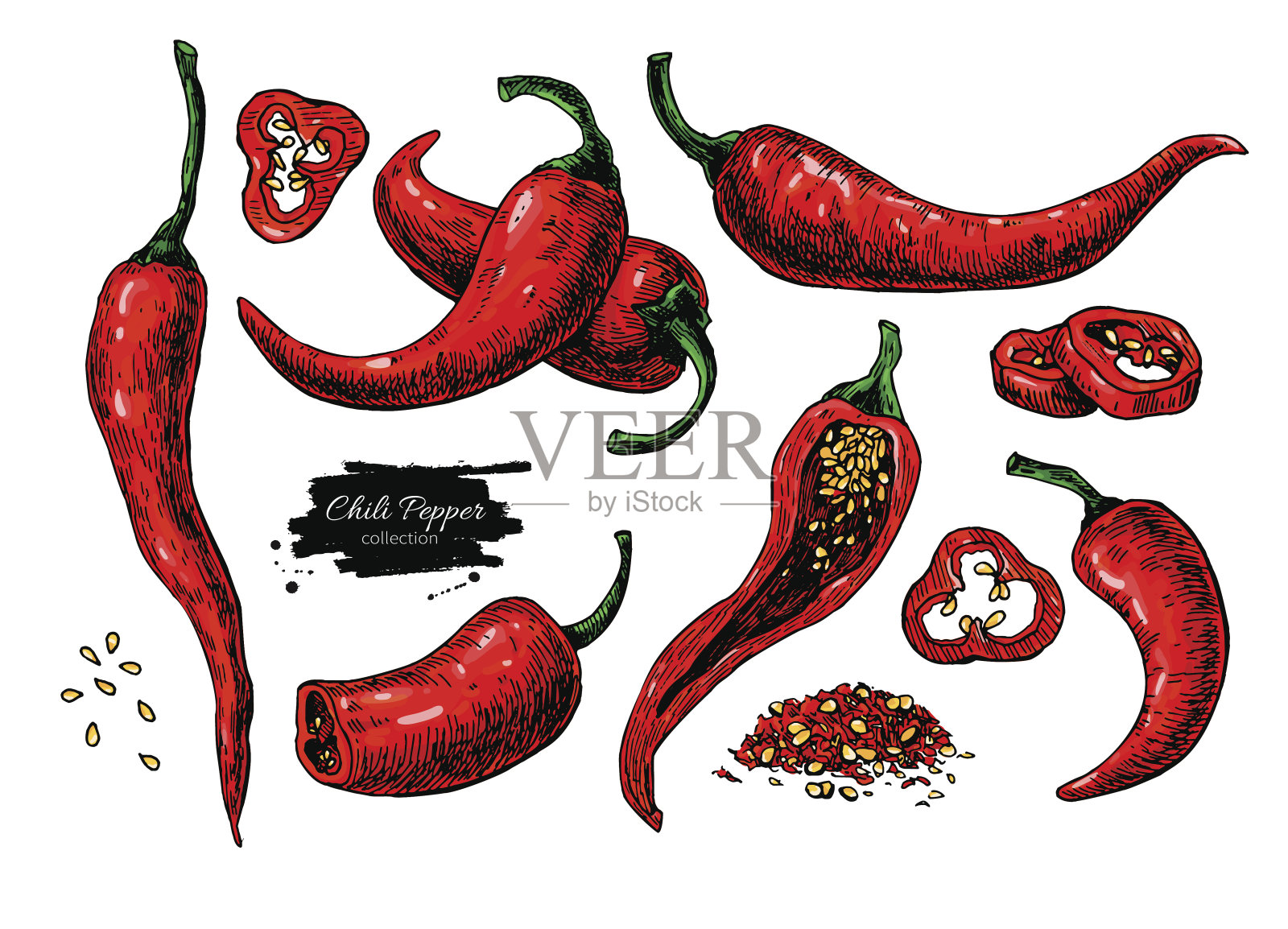 辣椒辣椒手绘矢量图。蔬菜艺术风格对象。孤立的辣的插画图片素材
