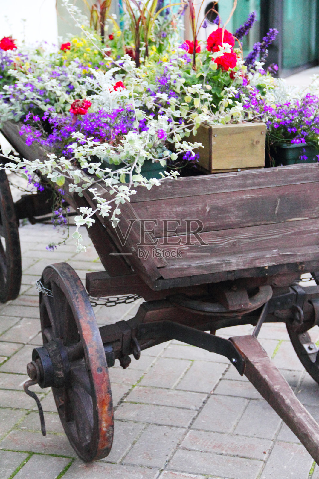 带花的旧马车照片摄影图片