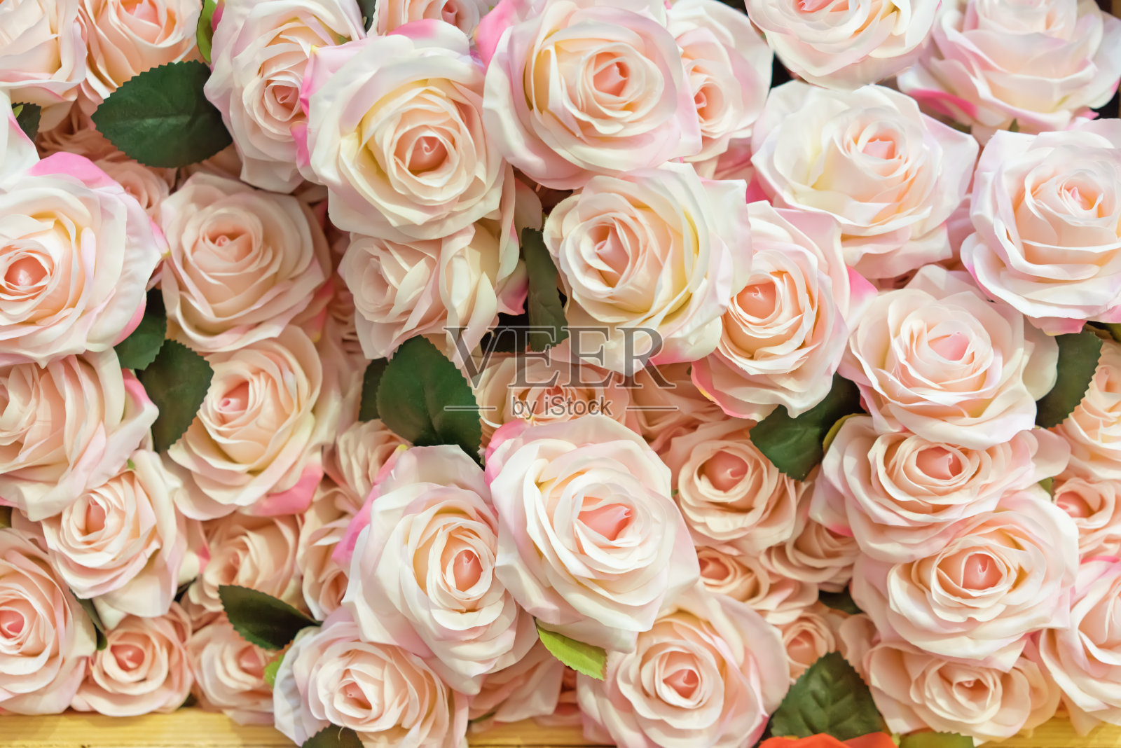 美丽的玫瑰花背景照片摄影图片