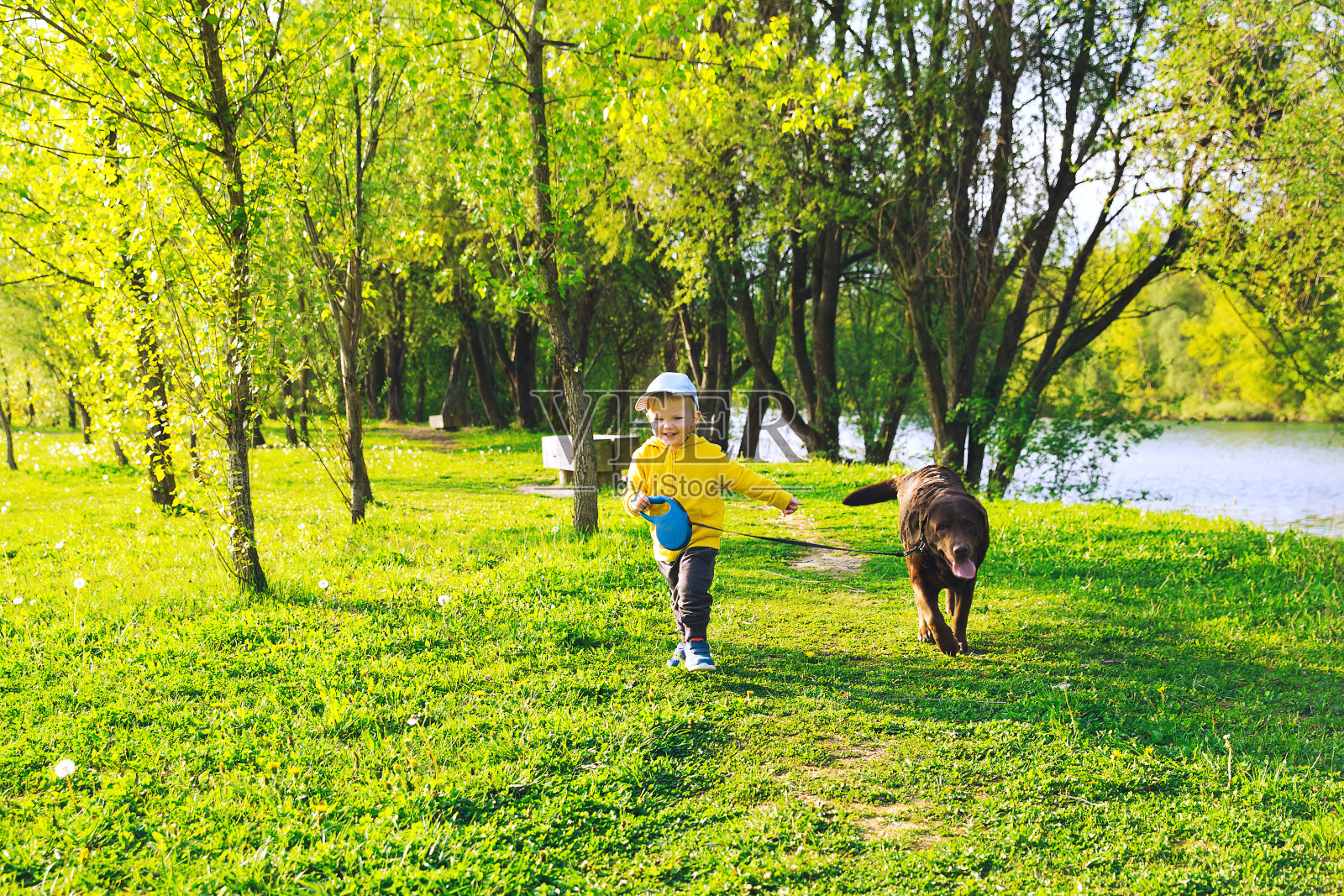 快乐的男孩和他的狗在乡村的春天。照片摄影图片