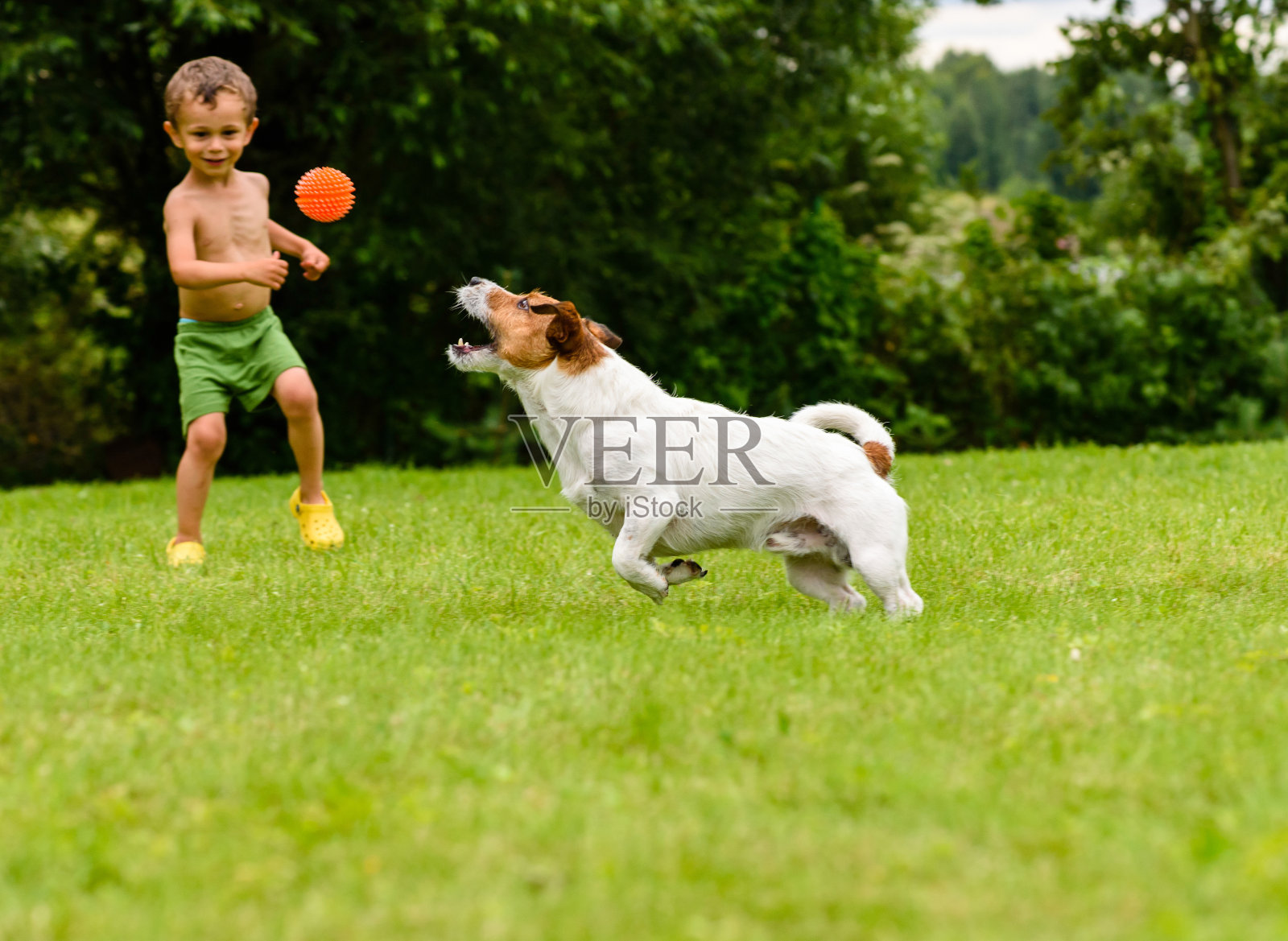 小男孩玩着扔狗、抓狗和捡狗的游戏照片摄影图片
