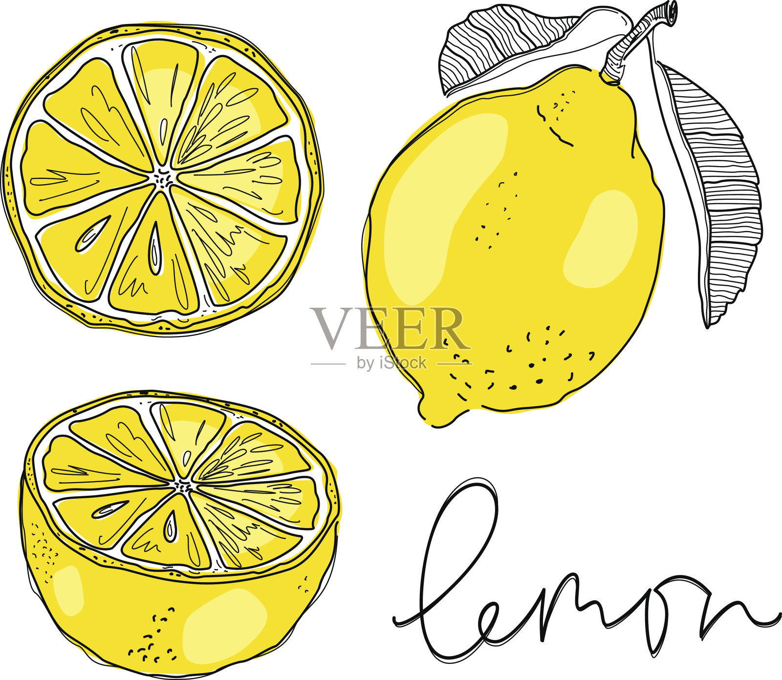 手画柠檬。矢量插图。插画图片素材