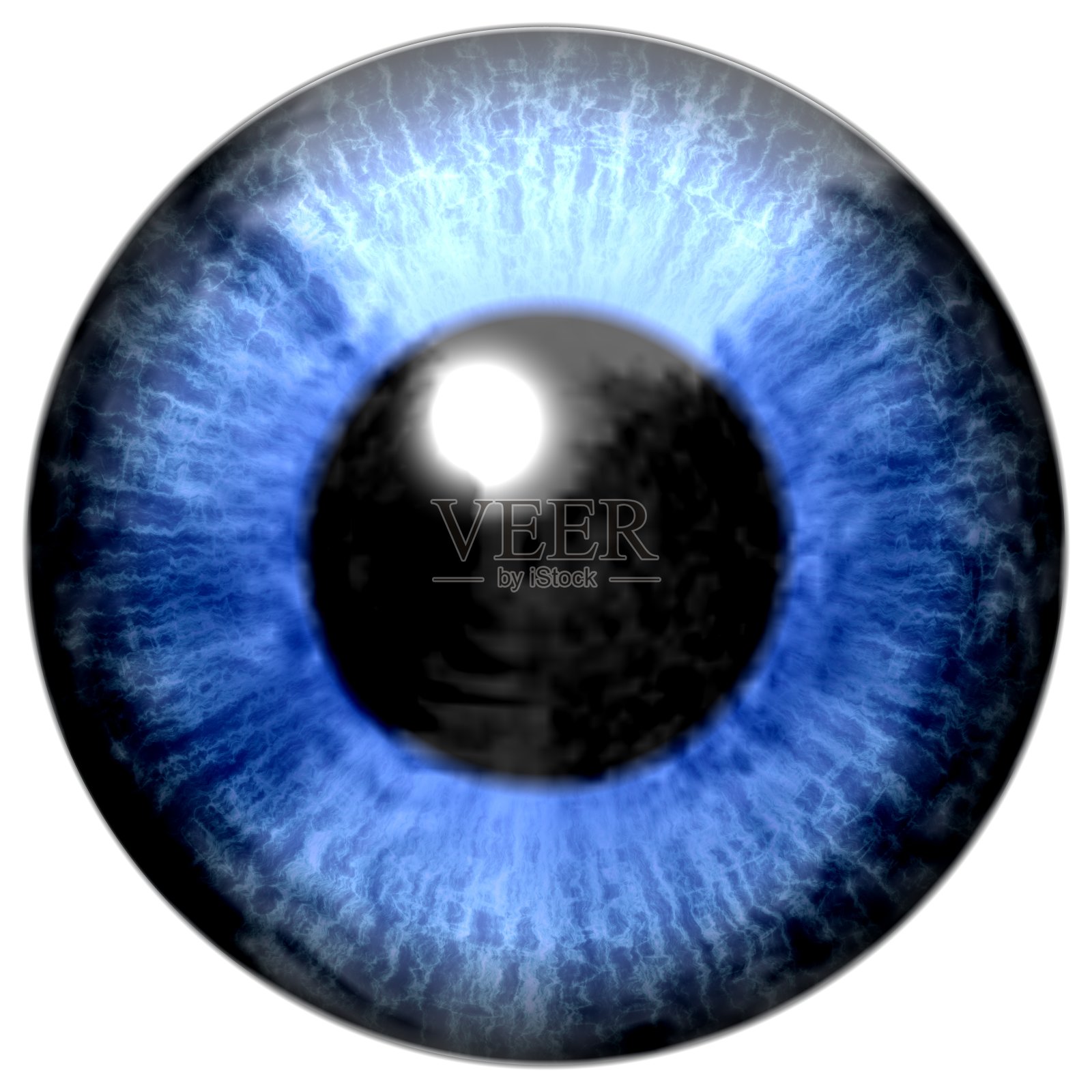 眼睛的细节有蓝色虹膜和黑色瞳孔照片摄影图片