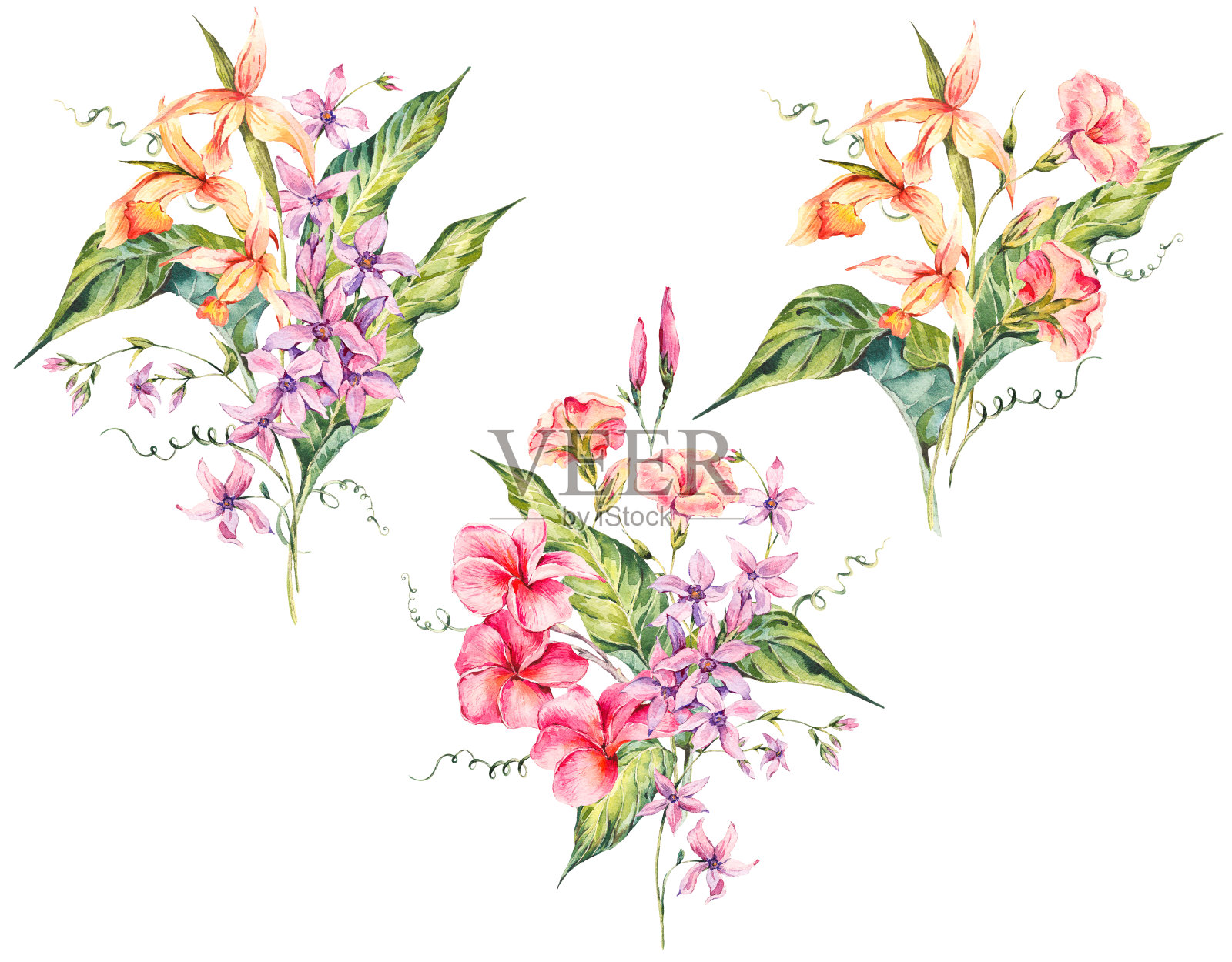一套水彩热带古董花束异国情调的花插画图片素材