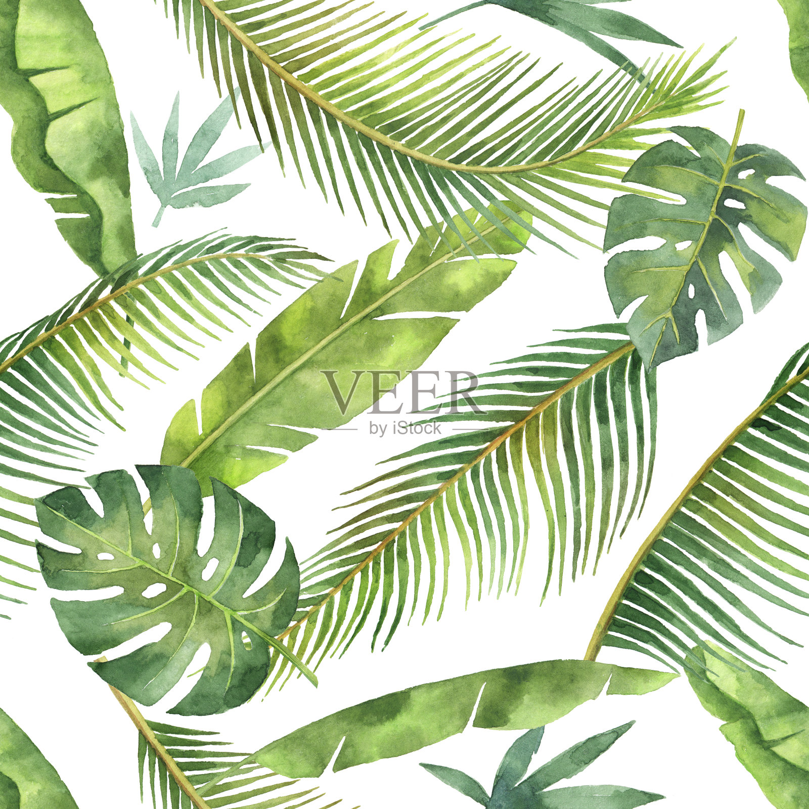 水彩无缝模式与热带树叶和树枝孤立在白色的背景。插画图片素材