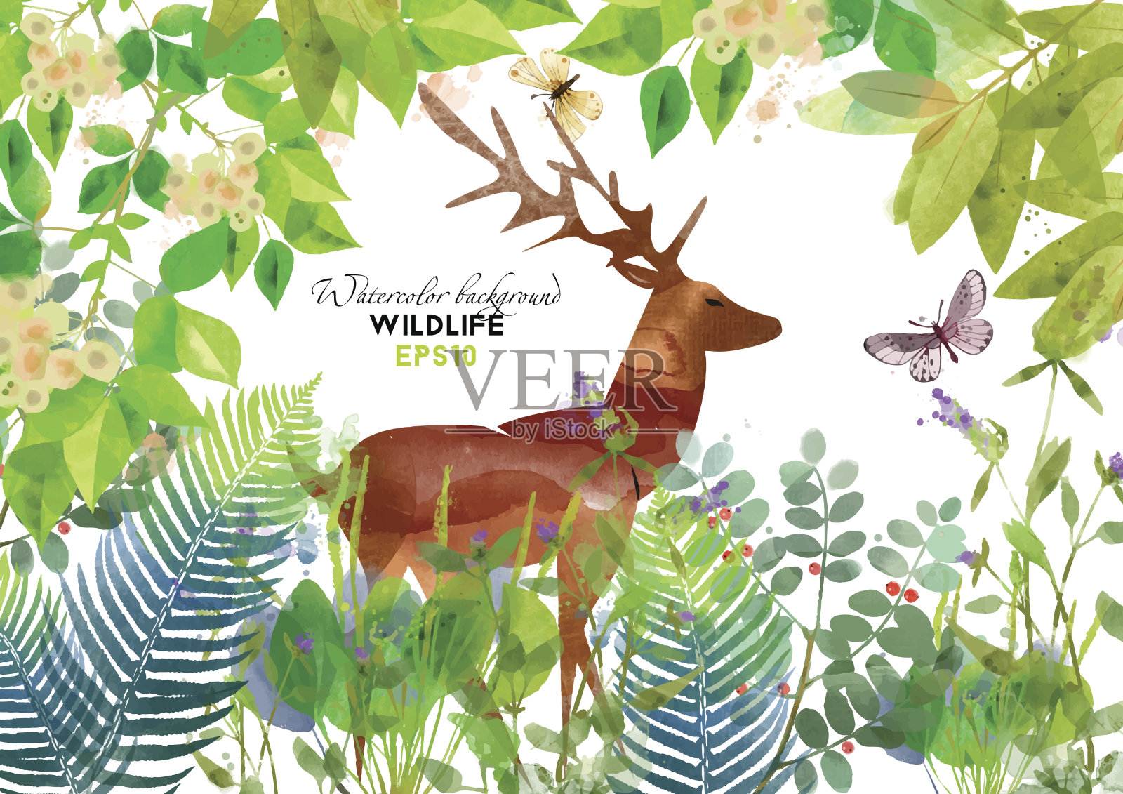 动物水彩矢量插图与鹿插画图片素材