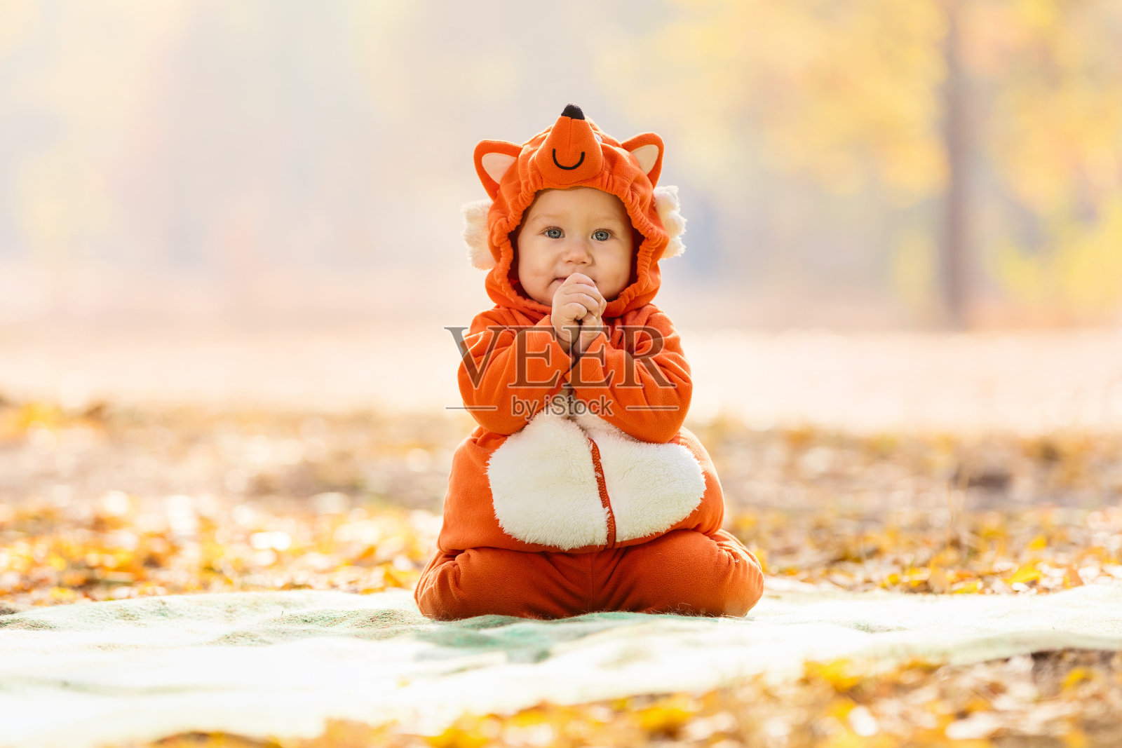可爱的小男孩穿着狐狸服装照片摄影图片