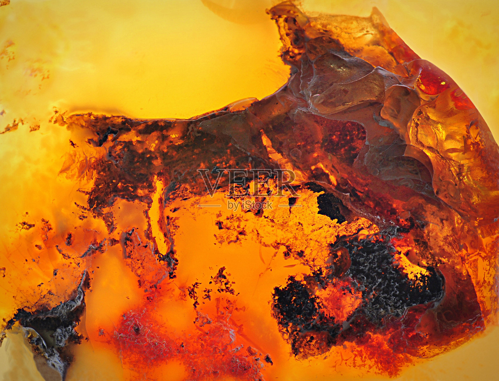 波罗的海琥珀，树脂段照片摄影图片